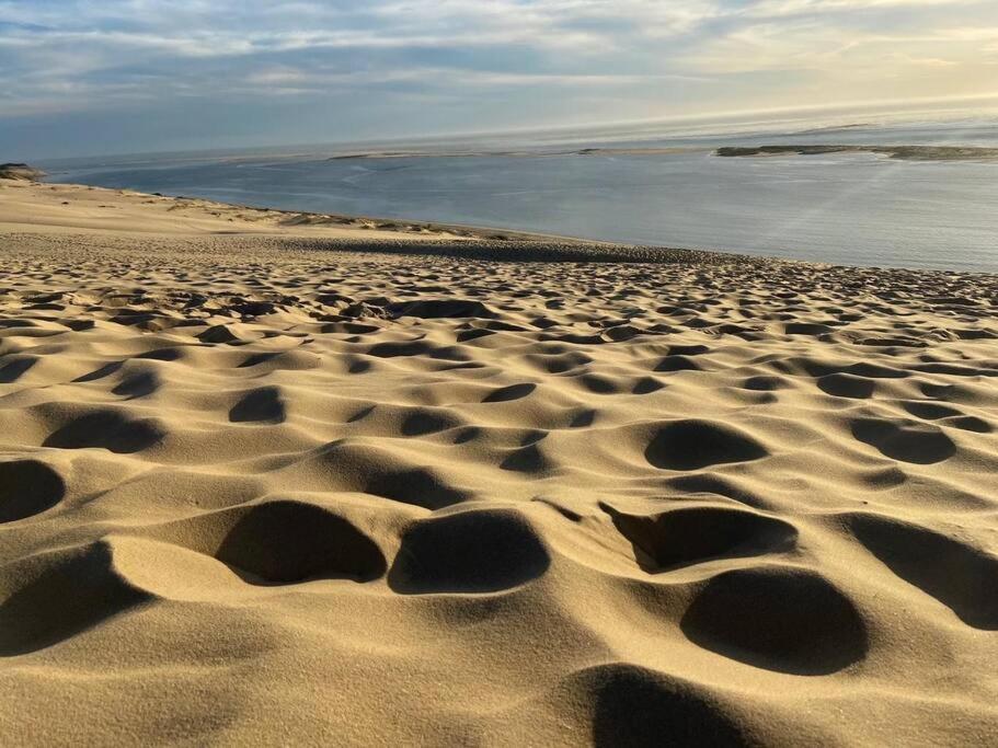Villa Arcachon 12 Pers Avec Piscine Chauffee 1 Mai Au 30 Sept Luaran gambar